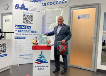 Депутаты Думы Нижнего Новгорода присоединились к акции «Серебряная ёлка»