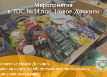 В поселке Новое Доскино прошла акция по сбору гуманитарной помощи для военнослужащих