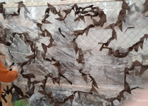 Небольшой вклад в большую победу!