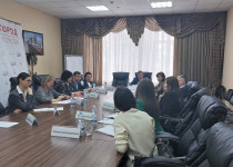 Встреча с экоактивистами по рассмотрению предложений об изменении Правил благоустройства прошла в городской Думе Нижнего Новгорода