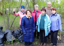Продолжаются субботники на территориях ТОС Сормовского района