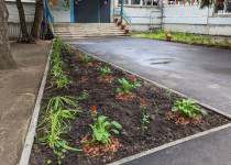 Оксана Смолина поддержала инициативу по благоустройству