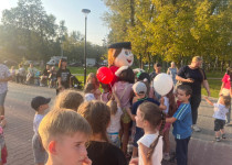 image-29-08-24-03-05-4