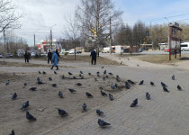 IMG_20250321_103216_937