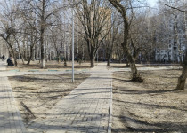 IMG_20250321_104748_703