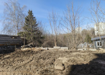 IMG_20250404_115353_792