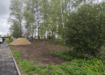 IMG_20250506_103700_818