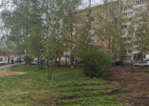 IMG_20250506_103826_476