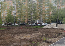 IMG_20250506_103833_949