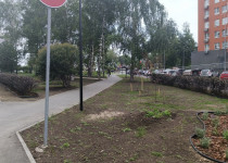 IMG_20250610_104028_988