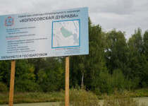 Члены постоянной комиссии городской Думы по экологии заслушают информацию о содержании Копосовской дубравы