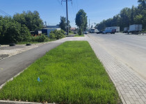 IMG_20250718_135743_370