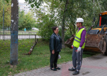 Мария Кузнецова участвует в проверке хода работ по демонтажу  бесхозных опор освещения