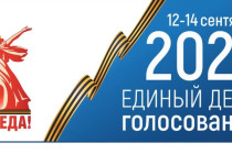 Выборы в городскую Думу Нижнего Новгорода I созыва признаны состоявшимися