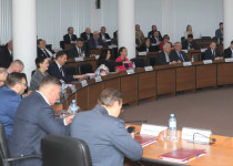 Депутаты утвердили новые положения  о Молодежной и Общественной палатах Нижнего Новгорода