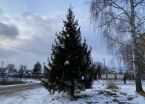 В Новом Доскино установили новогоднюю ель