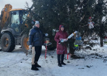 В Новом Доскино установили новогоднюю ель