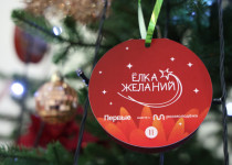 Депутаты городской Думы Нижнего Новгорода приняли участие  в благотворительной акции «Елка желаний»