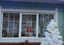 Лучшее новогоднее окно в ТОС микрорайона по улицам Коминтерна-Свободы и поселка Володарский
