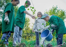 Вопросы экологического образования обсудят на профильной комиссии Думы