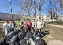 В Автозаводском районе прошел первый этап весенних субботников с участием ТОС, общественных организаций и жителей