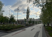 IMG_9598