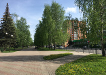 IMG_5376