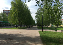 IMG_5379