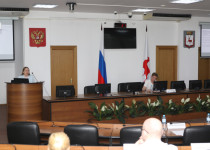 Депутаты обсудили результаты работы по обслуживанию сетей наружного освещения  и прокладке коммуникаций в Ольгино и Новинках