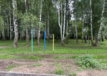 IMG_0962