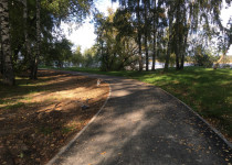 IMG_5654